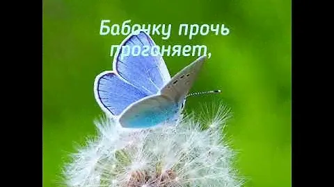 Стихи о цветах/Стихи о природе/Стихи про одуванчик